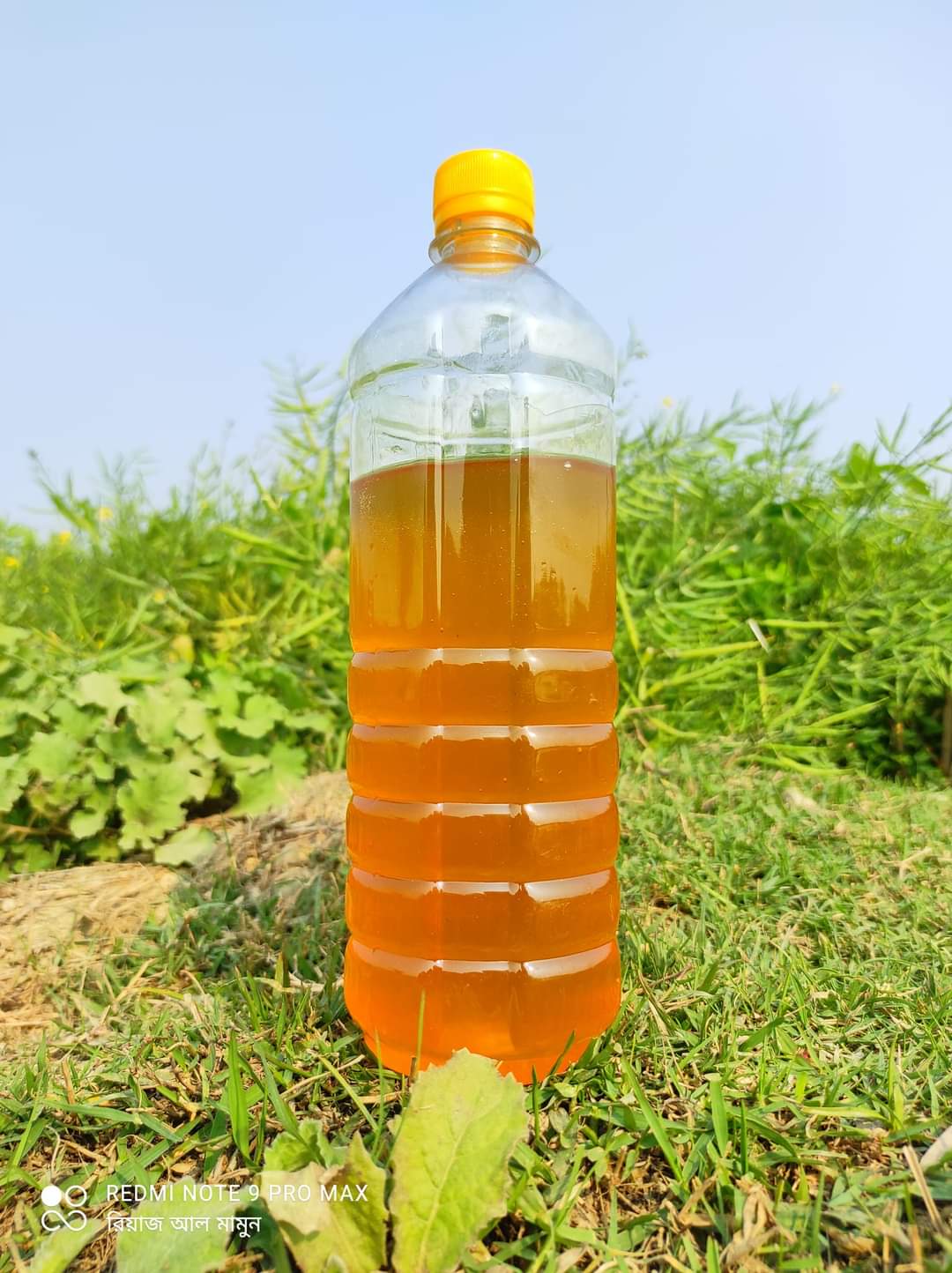 লিচু ফুলের মধু