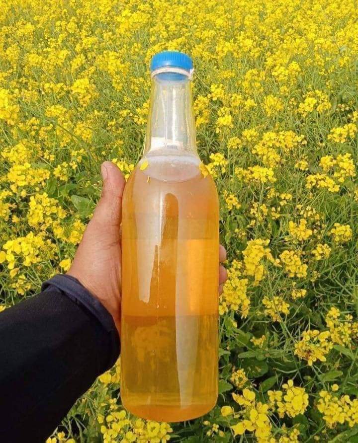সরিষা ফুলের মধু