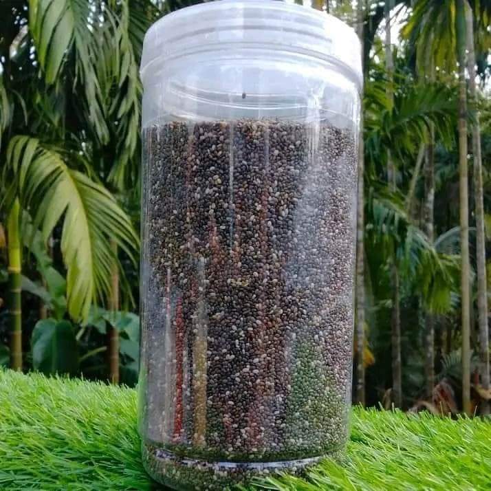 Chia Seeds | চিয়া সিডস্